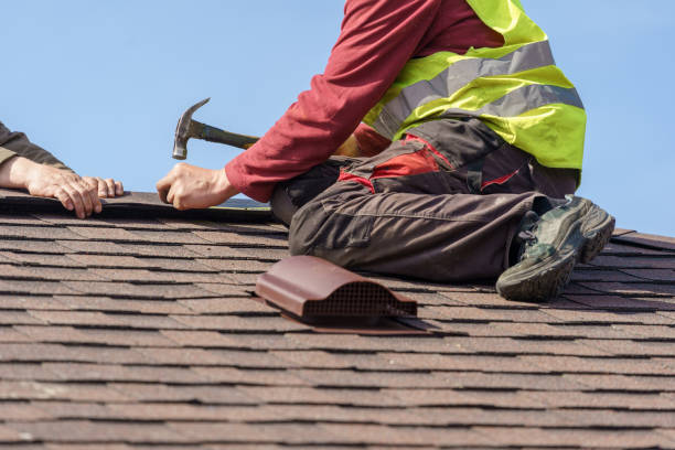 Best Roof Repair Services  in Wilton, IA